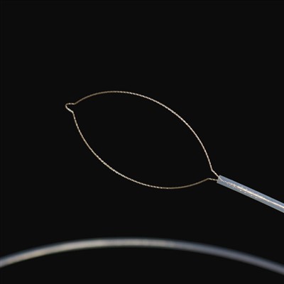 ཇའུ་དབྱེ་བ་ཕྱི་རྒྱལ་གྱི་གཟུགས་བརྙན་ཚུ།