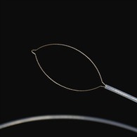 ནེཊ་ དབྱེ་བ་ཕྱི་རྒྱལ་གྱི་གཟུགས་པོའི་ཕོ།